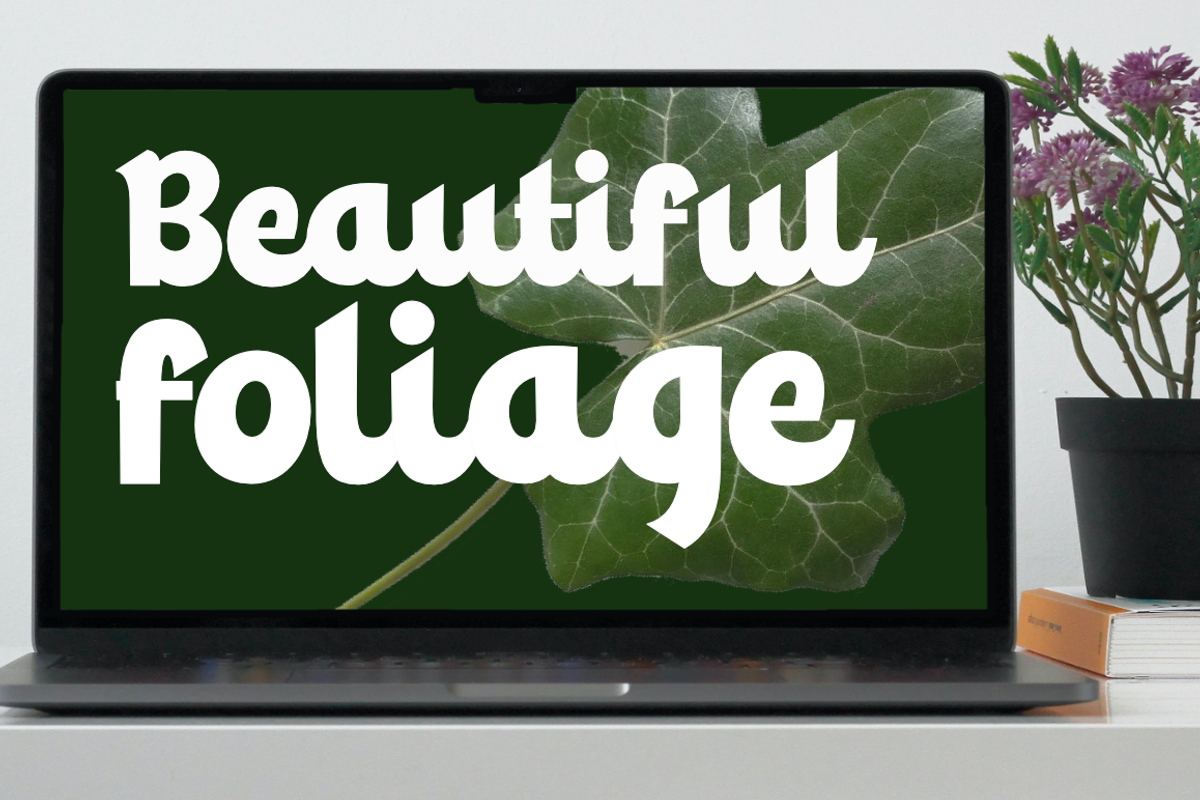 Heura, a Script Font by Eurotypo (Photo 3 of 7)