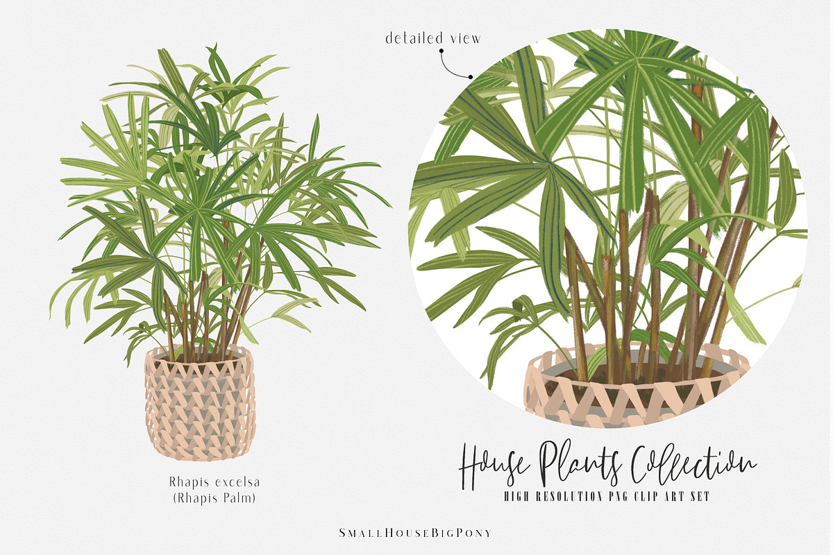 House Plants Collection Set II, a Graphic by SmallHouseBigPony (Photo 16 of 21)