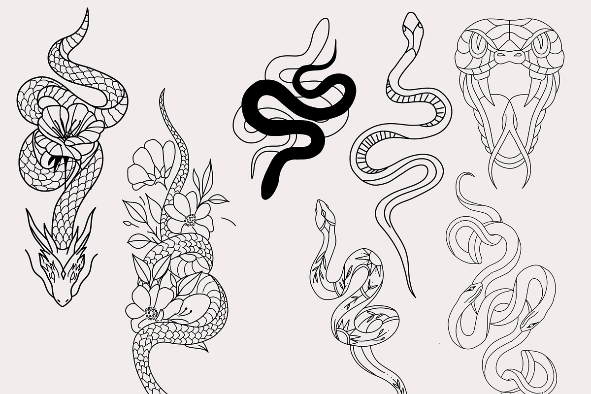 30 Procreate Snake Stamps, a Brush Add-On by Nuclear Brushes (Photo 6 of 10)