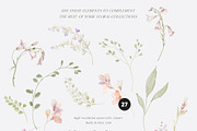 SPRING BOX Watercolor Bundle 400+, a Decorative Illustration by Muse Artist (Thumbnail 14 of 99)