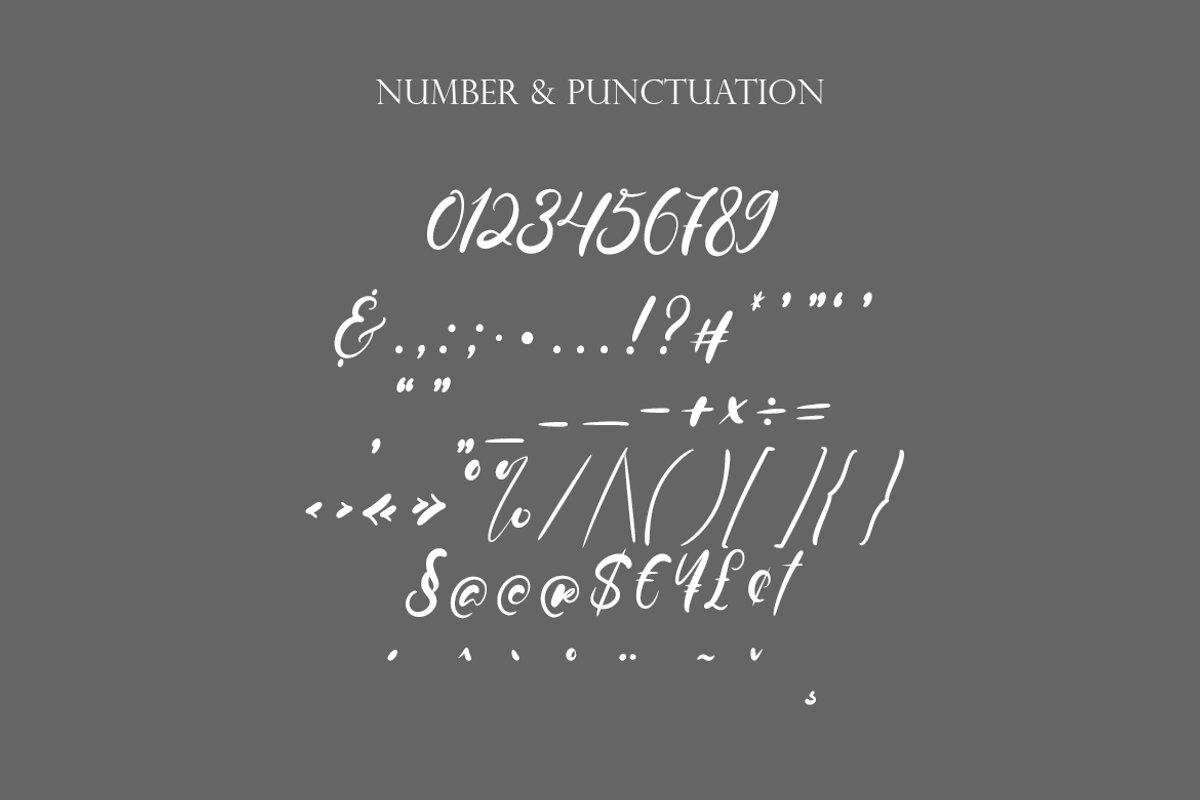 Nebula Script - A Modern Script, a Script Font by Universitype (Photo 9 of 11)