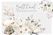Salt Coral. Sea shell and flowers., an Object Illustration by ma_i_vi (Thumbnail 1 of 12)