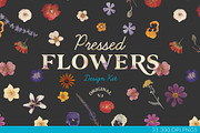 Pressed Flowers Floral Collage Kit, an Object Graphic by Tara Leigh Designs (Thumbnail 1 of 6)