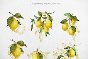 Lemons. Watercolor Collection