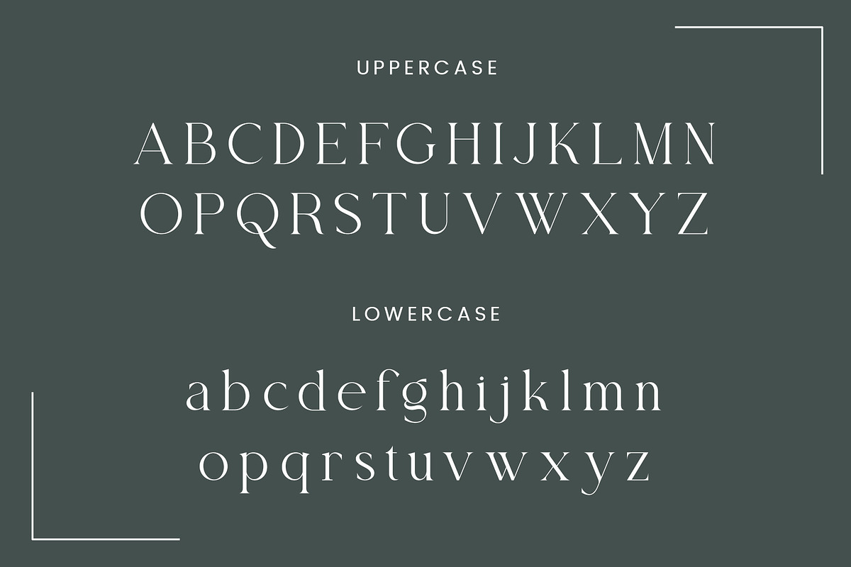 Thoca -New Modern Typface, a Serif Font by AnnofaType (Photo 6 of 8)