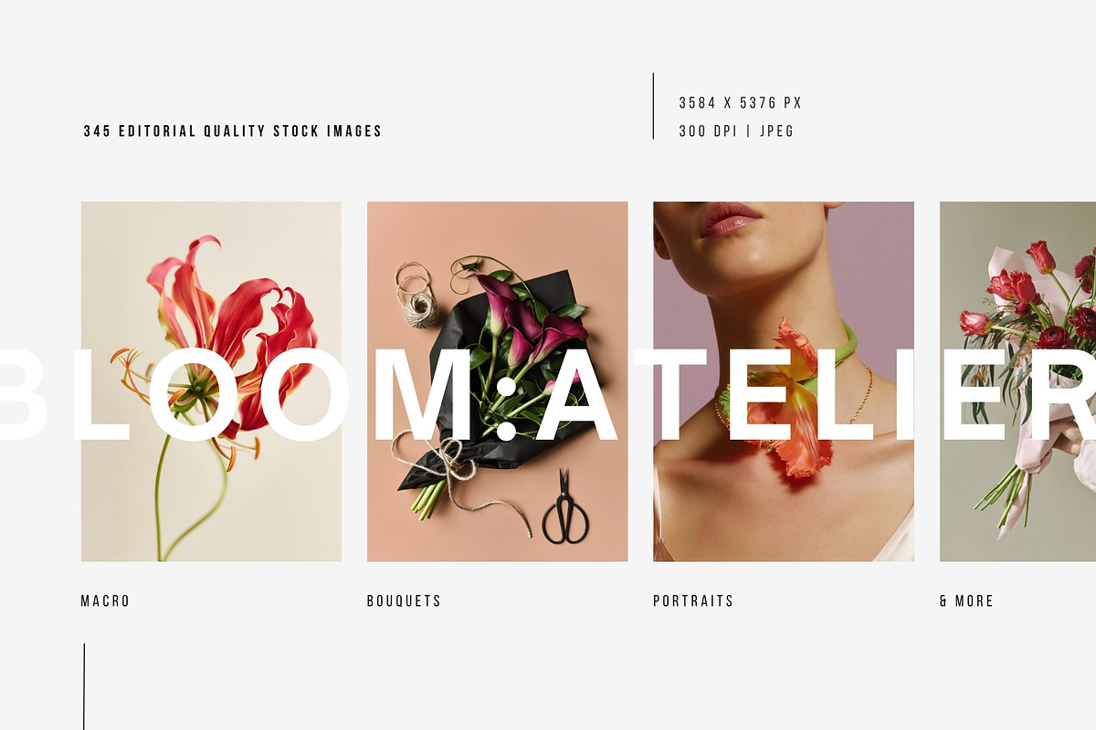 Bloom Atelier | 345 stock images, a Nature Photo by Tale.Haus (Photo 2 of 20)