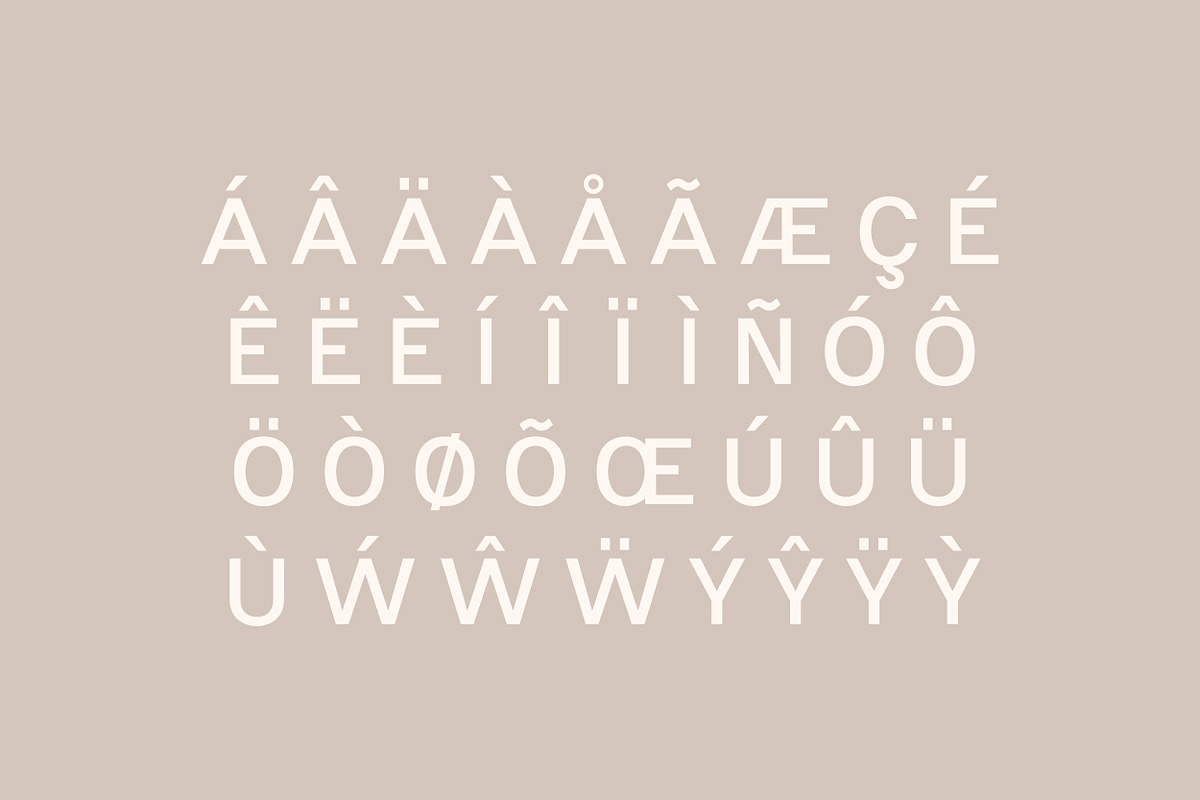 Grenache - Modern Sans preview 7