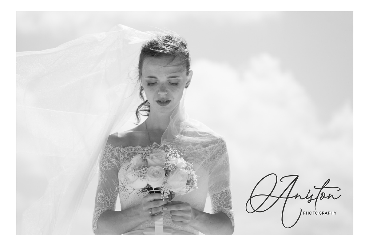 Musings Script Font preview 2