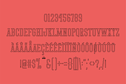 Stadium, a Serif Font by Kitaleigh (Thumbnail 2 of 2)