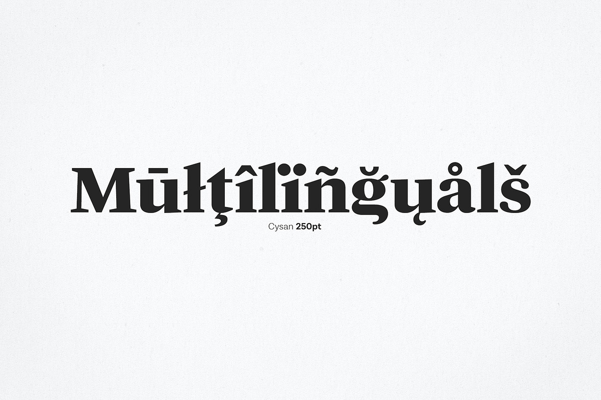 Cysan - Modern Serif, a Serif Font by Hindia Studio (Photo 6 of 10)