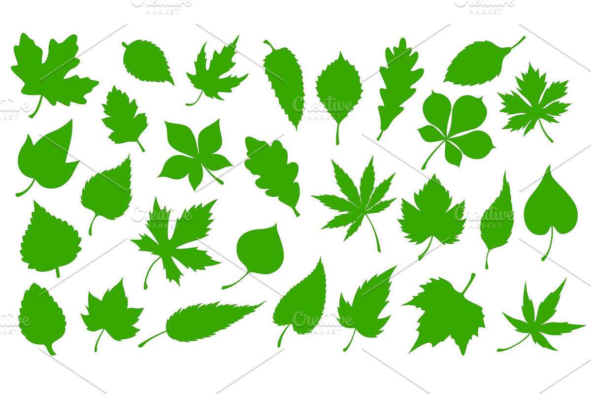 Green leaves, nature tree leaf icons, an Illustration by Vector Tradition
