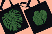 MONSTERA LEAVES, a Decorative Illustration by Tanya Akhmett (Thumbnail 8 of 8)