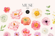 MUSE Real Watercolor Flowers, a Decorative Illustration by Lana Elanor (Thumbnail 3 of 12)