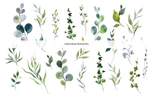 Eucalyptus. Watercolor Collection.