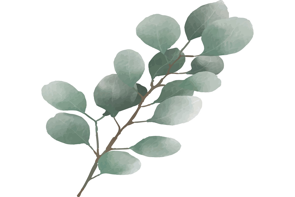 Watercolor Eucalyptus PNG Bunlde, an Illustration by Digi_Design_World (Photo 4 of 4)