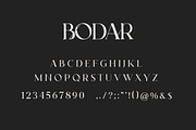 Bodar Serif Display Font, a Serif Font by UICreative (Thumbnail 5 of 5)