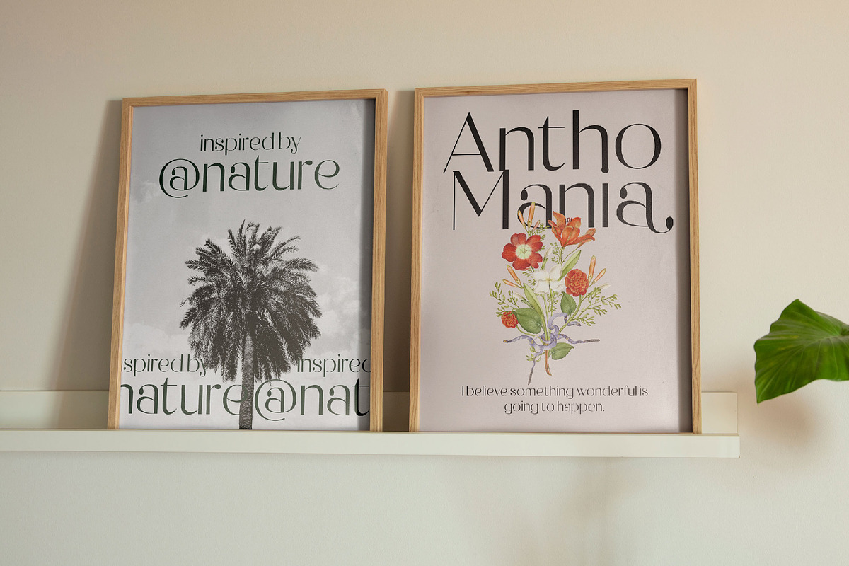 Raslera Modern Serif Display, a Sans Serif Font by timelesstype.co (Photo 7 of 20)