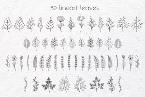 Leaf And Branch Doodle Clipart