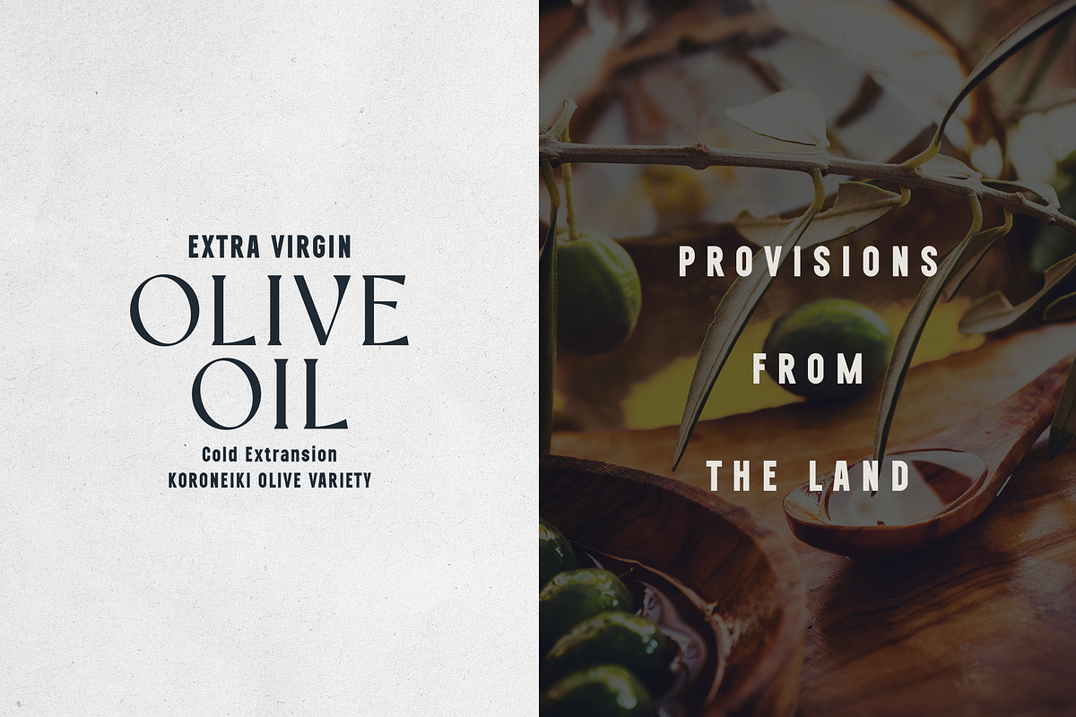 Vellumo & Nexline — Modern Font Duo, a Serif Font by Only Fonts (Photo 6 of 10)