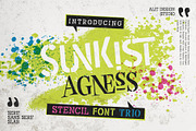 Sunkist Agness Typeface, a Serif Font by alit design (Thumbnail 1 of 15)