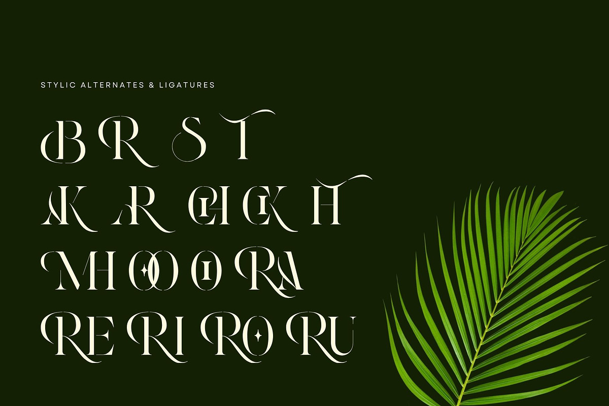 Roxer Stencil - Modern Serif Font, a Serif Font by Nirmana Visual (Photo 7 of 11)