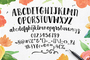 Clementine Script, a Handwritten Font by Emily Spadoni (Thumbnail 4 of 4)