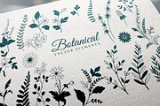 Floral Decorative Elements, a Decorative Illustration by Solana (Thumbnail 2 of 3)