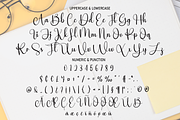 Workday | Script Font, a Script Font by Scratchones (Thumbnail 3 of 8)