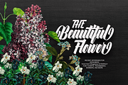 Calligraphy Big Bundle (95%off), a Script Font by groens (Thumbnail 20 of 46)