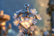 ETARA Magical Scene Builder Kit, an Object Graphic by ETARA by Mea Hau (Thumbnail 10 of 25)