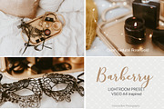 Desktop Lightroom Presets BARBERRY, an Action Add-On by Victoria Bee Presets (Thumbnail 3 of 14)