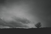 Mood collection, a Photo by Alekseyliss (Thumbnail 18 of 21)