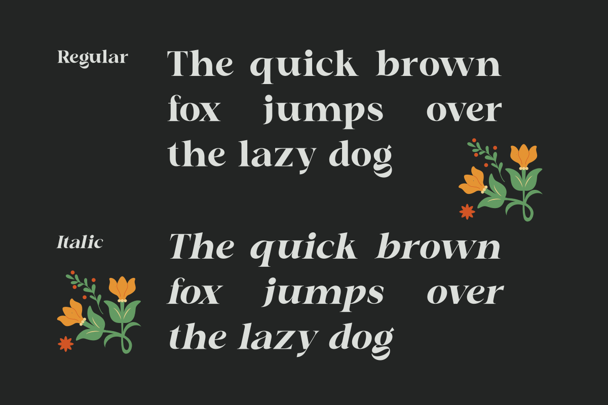Chafira, a Serif Font by Zafiratype (Photo 5 of 10)
