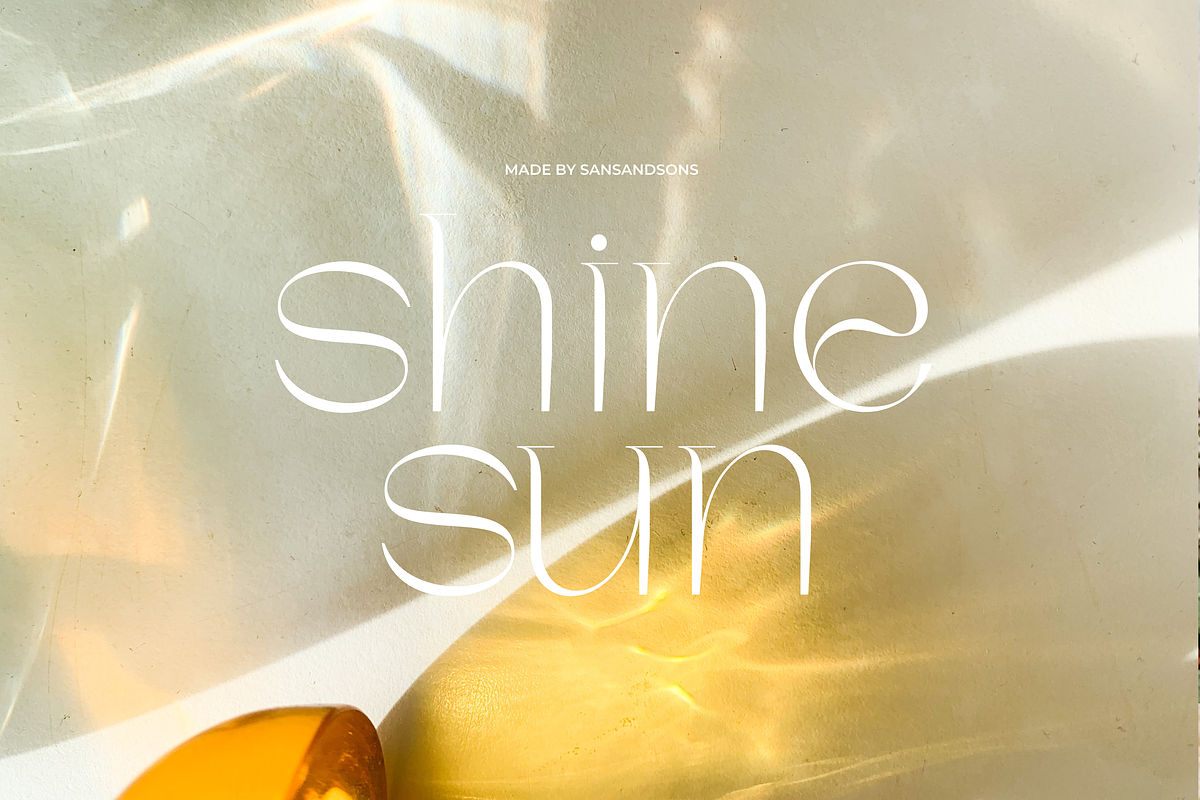 Charis - Moderne Sans, a Sans Serif Font by Sans & Sons (Photo 7 of 7)