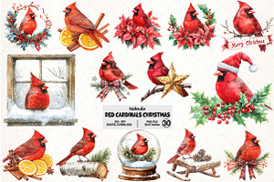 Red Cardinals Christmas Sublimation, an Illustration by Pixels.Craft