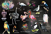Birds watercolor illustrations, an Animal Illustration by Vero Arts (Thumbnail 4 of 11)