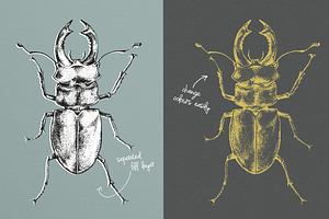 Dotwork Vector Insects