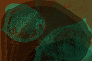 30 Grunge Rose Petal Brushes, a Brush Add-On by PixieSparks (Thumbnail 4 of 4)