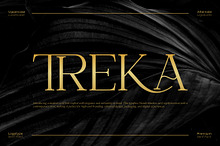 Treka || Modern Serif Font