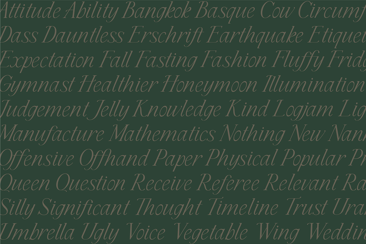 Cedar & Ink Typeface, a Serif Font by aquene (Photo 11 of 16)