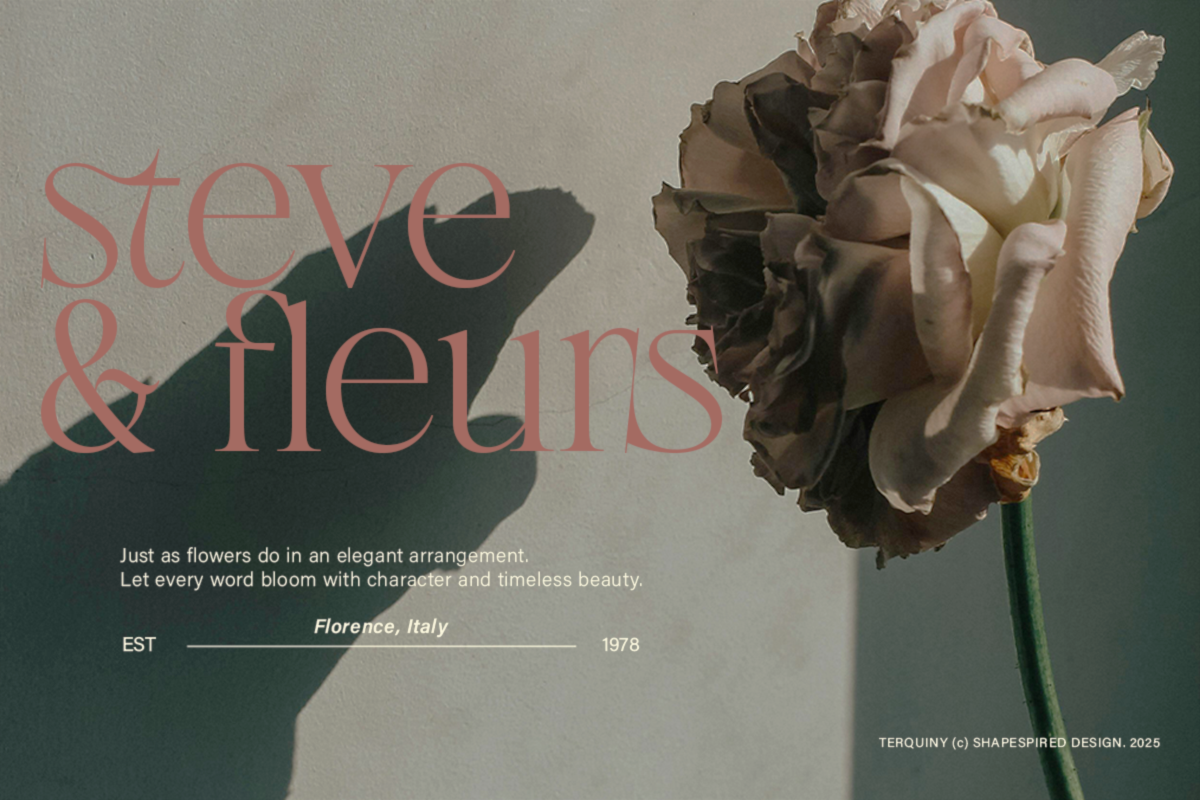 Terquiny - Modern Luxury Serif, a Serif Font by Shapespired Design (Photo 11 of 17)