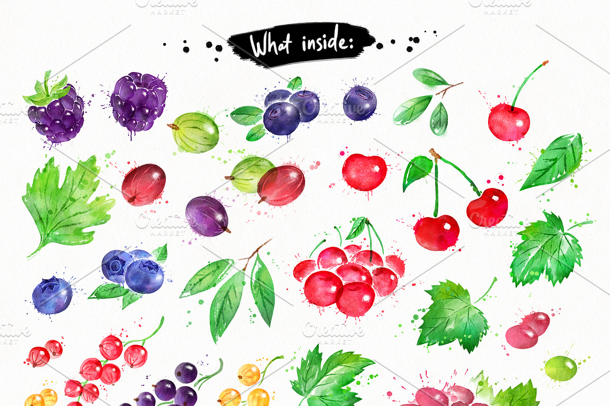 Berries Watercolor Collection, an Object Graphic by Sonya Illustrations (Photo 3 of 4)