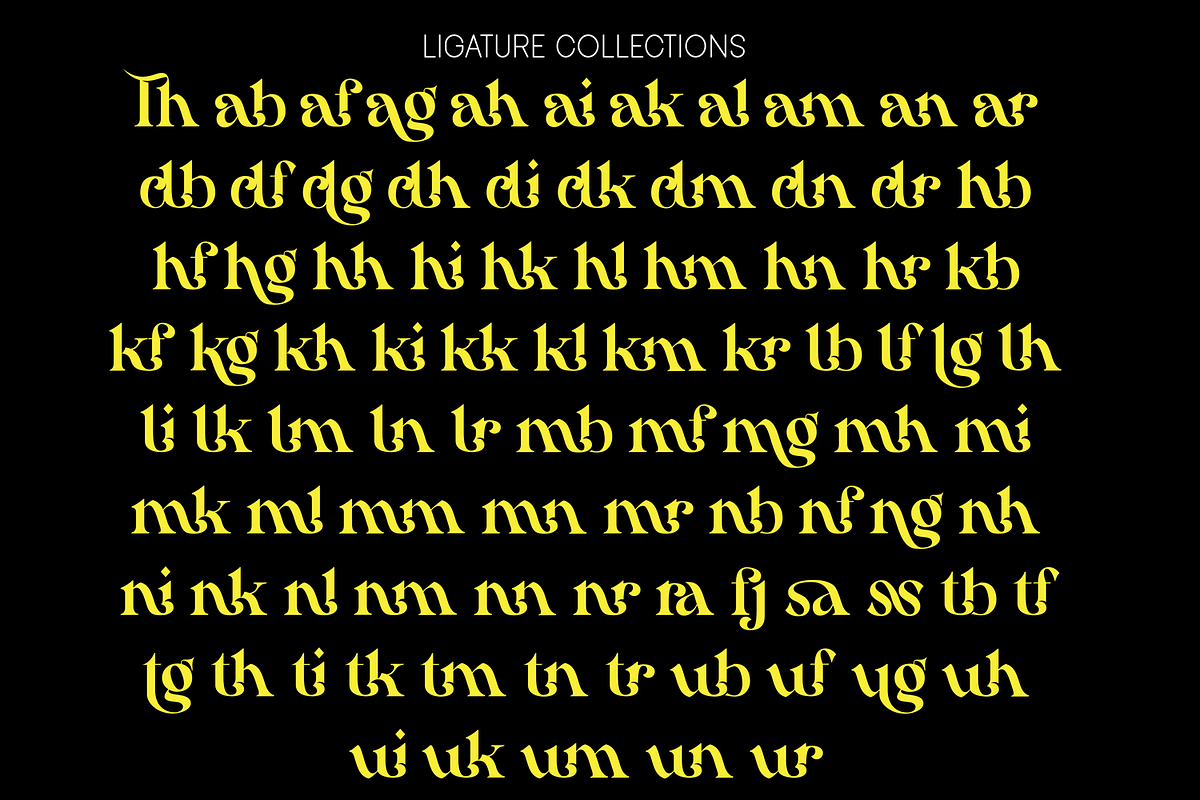 Hamachi Font, a Serif Font by 177Studio (Photo 8 of 8)