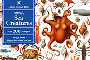 Vintage Collage Creator 1000+ Images, an Object Graphic by Collage Supply Co (Thumbnail 18 of 21)