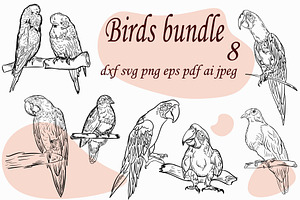 Birds bundle