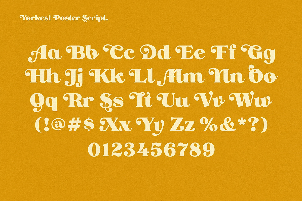 NS Yorkest Poster, a Serif Font by Novisouldado (Photo 3 of 14)