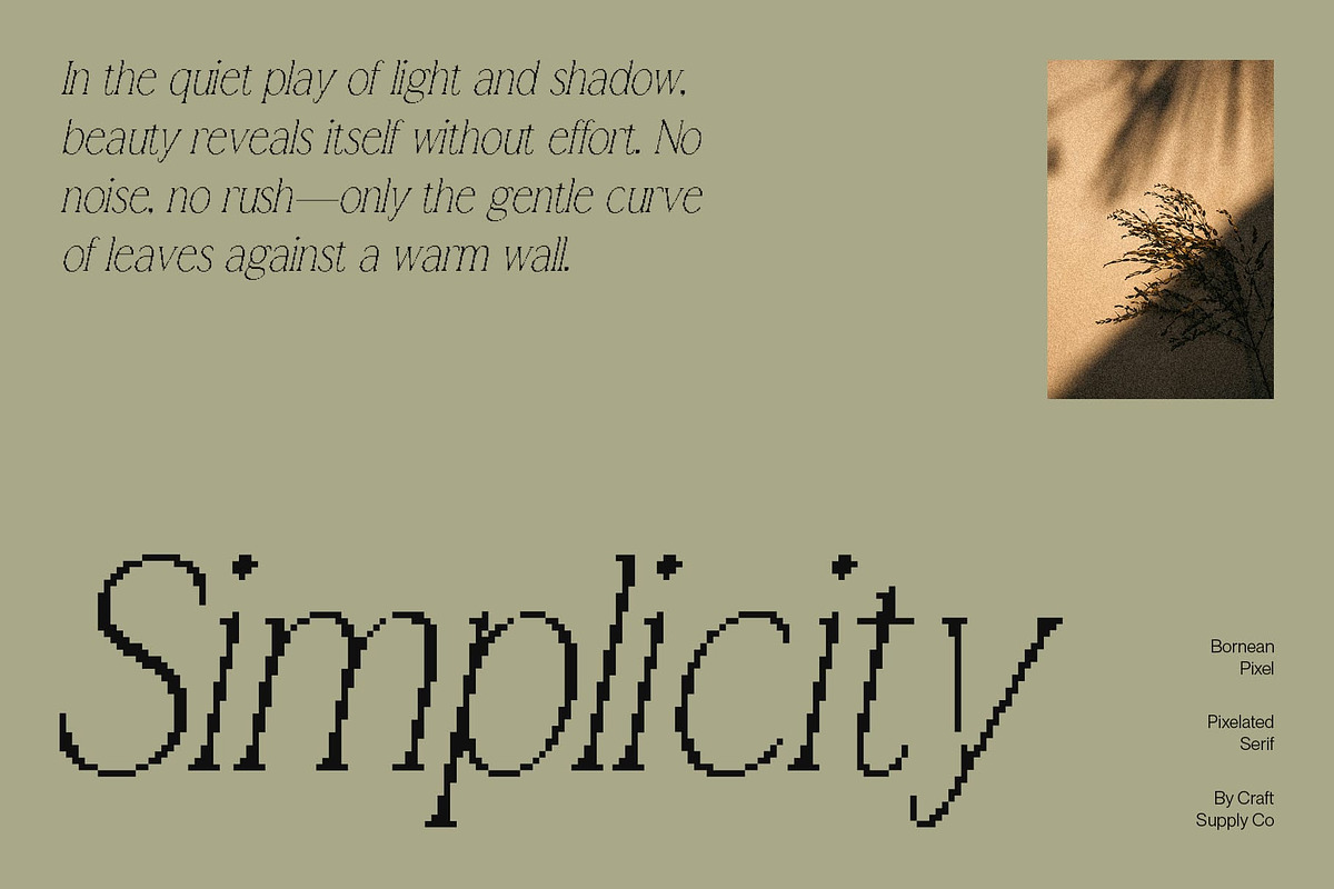 Bornean Pixel, a Serif Font by Craft Supply Co. (Photo 4 of 8)