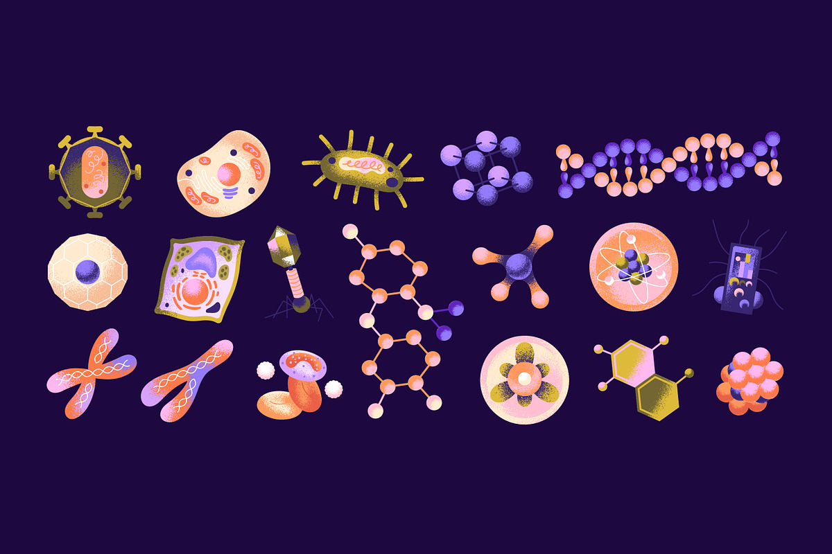 Scientific elements icons set, a Healthcare Illustration by PaperTrident (Photo 1 of 4)