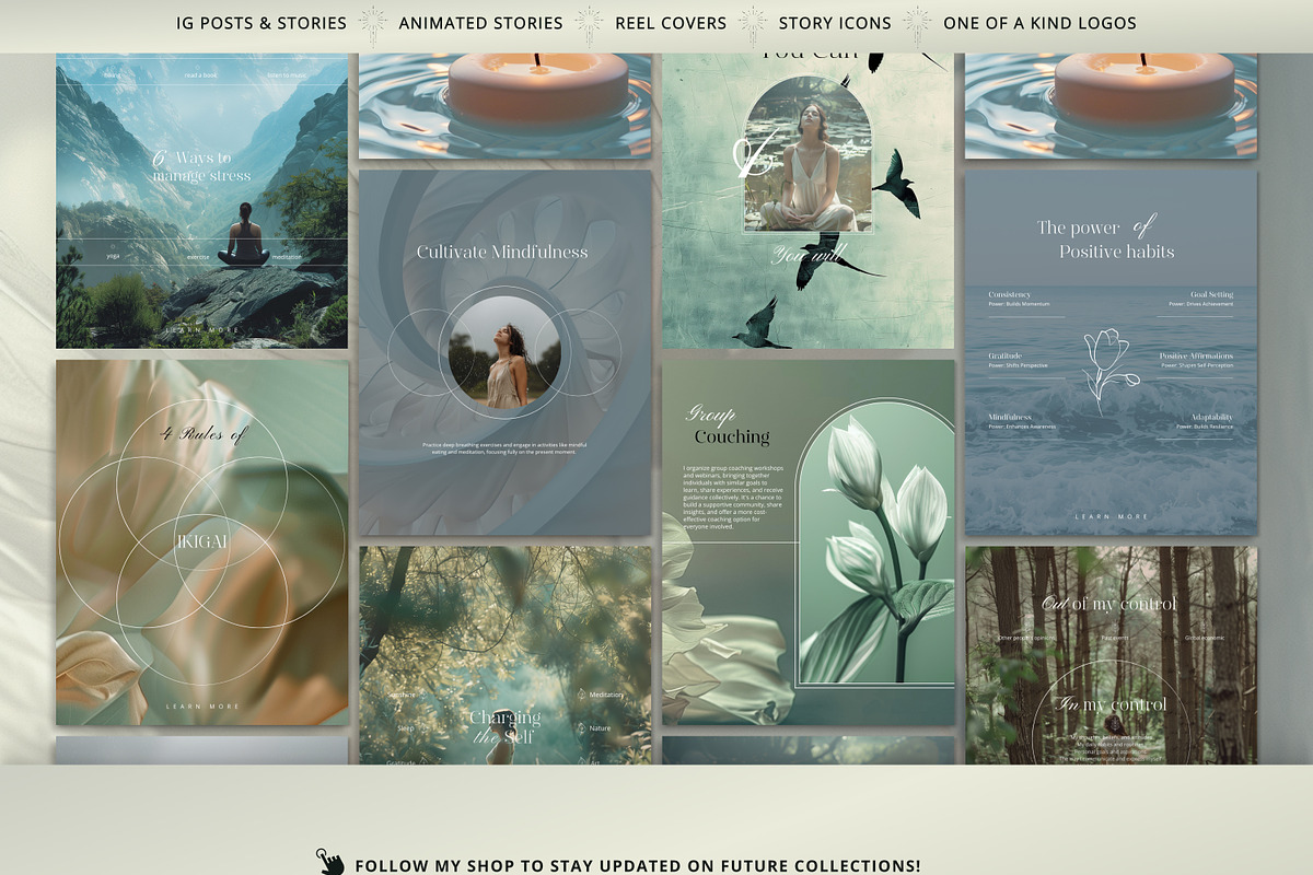 Wellbeing Coach Template - IG Canva, a Social Media Template by Under My Cozy Roof (Photo 9 of 11)