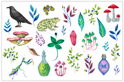 Fairy forest. Patterns and elements, a Decorative Illustration by Robusta (Thumbnail 15 of 17)